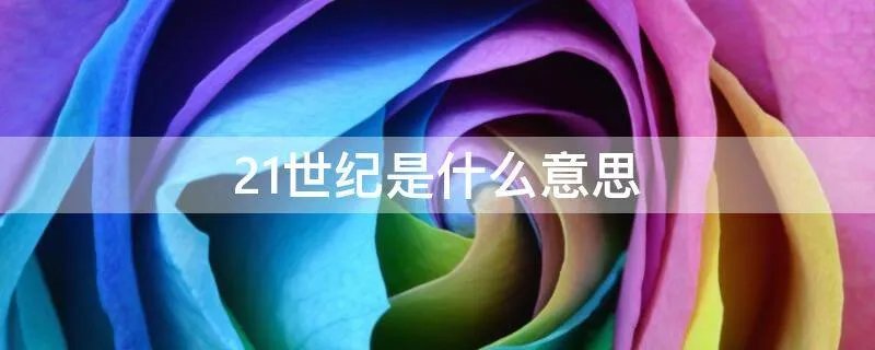 21世纪是什么意思