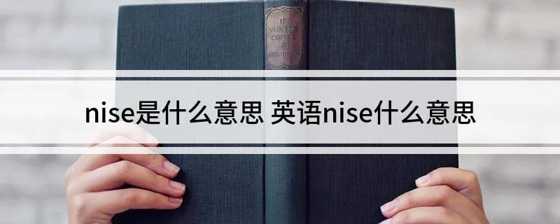 nise是什么意思 英语nise什么意思