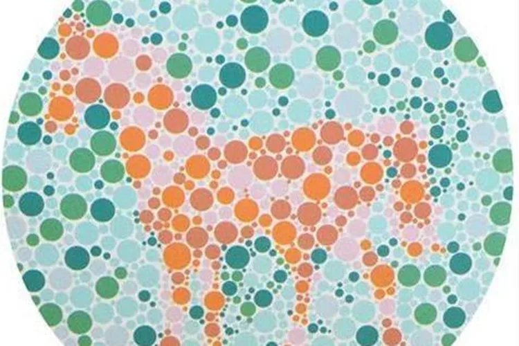 色盲体检图片大全