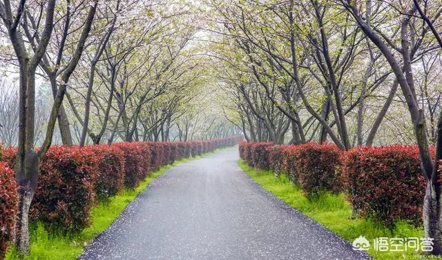 南昌有哪些好玩的地方?