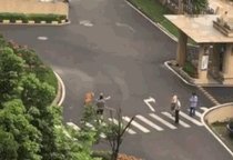 金毛护主被活活打死，除了心痛，肇事者应该接受怎样的制裁？