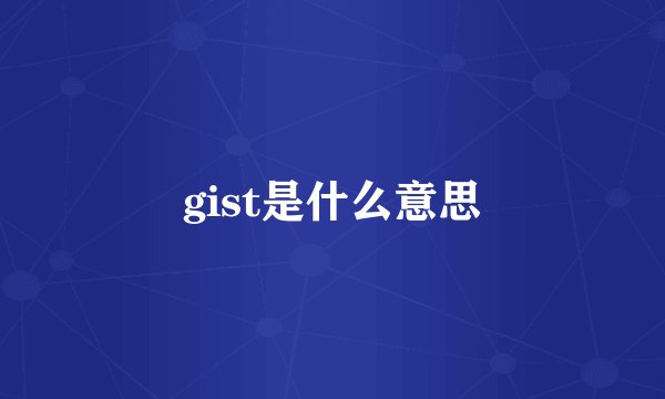 gist是什么意思
