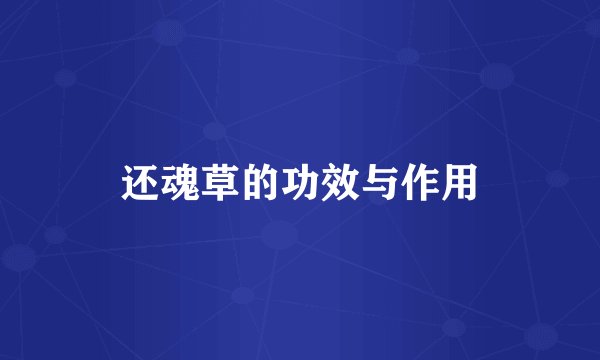 还魂草的功效与作用
