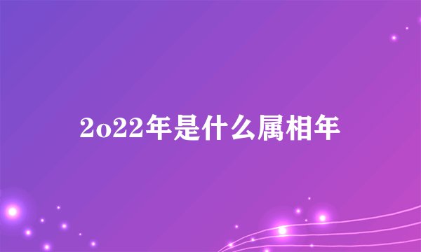 2o22年是什么属相年