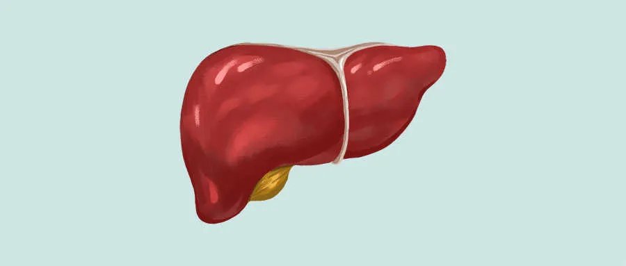 肝癌晚期会传染吗