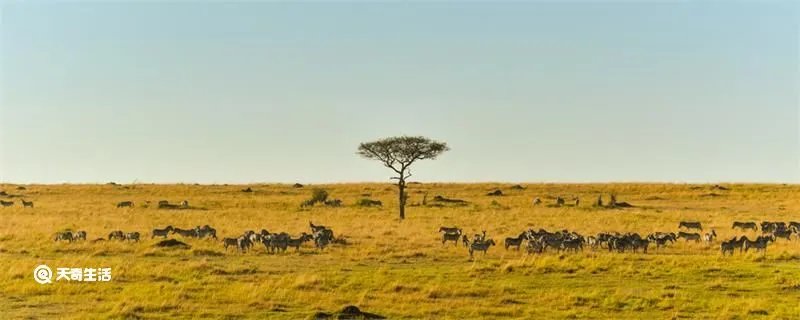 不毛之地是什么意思