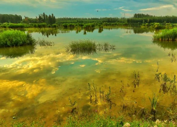 伊犁必去的景点有哪些？