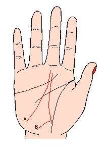 事业线图解，最详细的图文让你看懂事业线命运线
