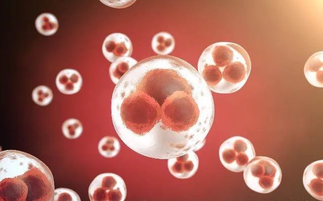 三代试管哪个医院好-北京医科大学第三医院和中信湘雅是国内试管婴儿成功率比较高的医院！