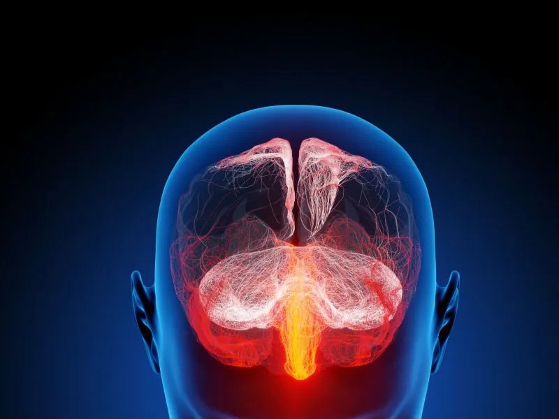 脑囊虫不治疗会怎样