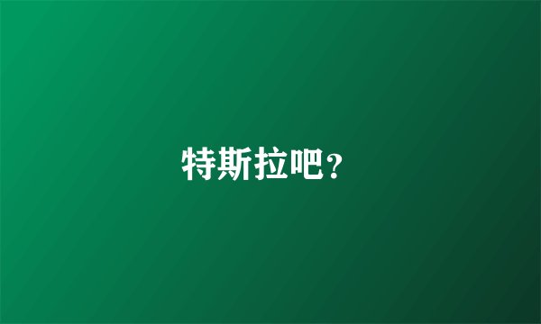 特斯拉吧？