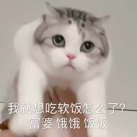 富婆饿饿饭饭表情包大全