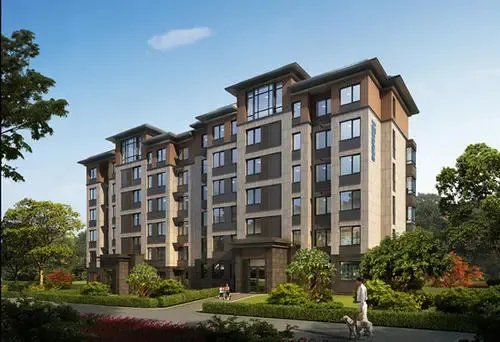 什么房子叫洋房