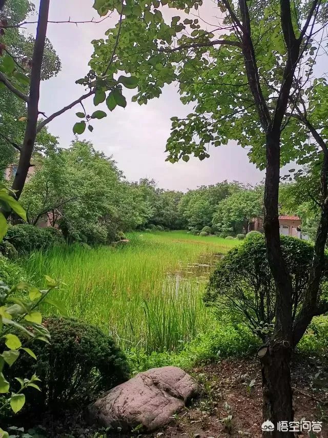 沈阳哪家的别墅比较好,推荐几处?