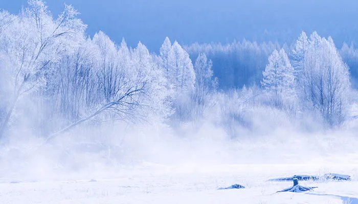 一九二九是什么节气 一九二九属于什么节气