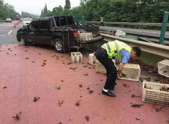 湖北何处被称为小龙虾百慕大？