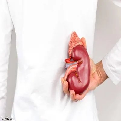 肾脏病人应如何饮食