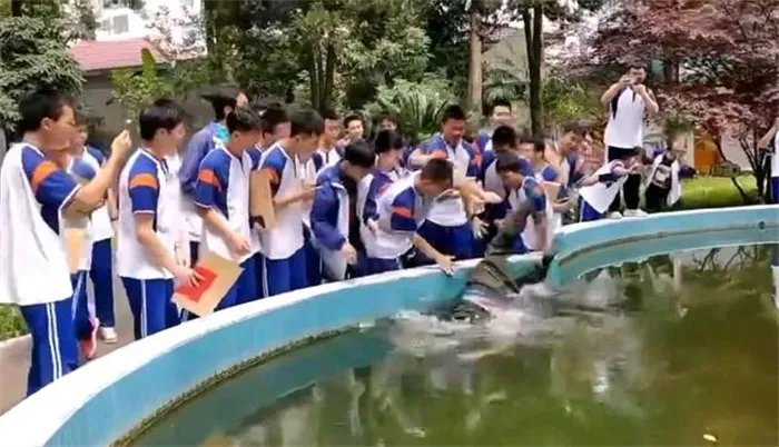 全班把老师扔进水池寓意集体上岸 师生关系很好