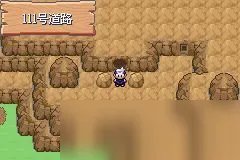 《口袋妖怪》漆黑的魅影攻略大全