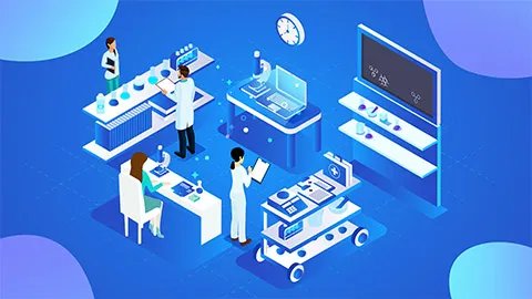 雪梨的功效与作用