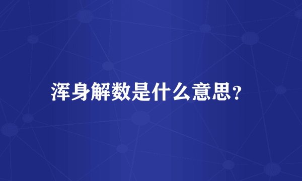 浑身解数是什么意思？