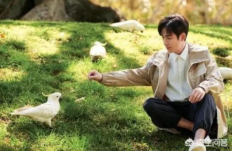 为什么朱一龙微博那么多人留言？