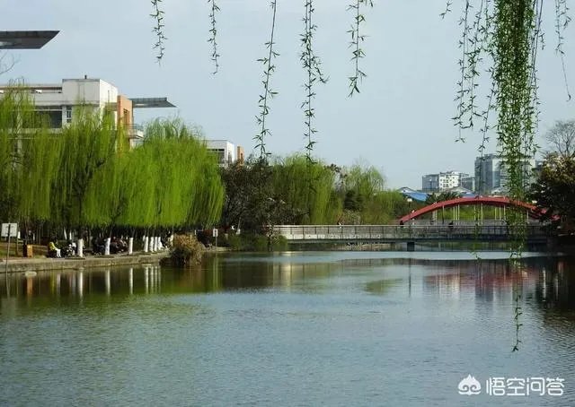 西南交通大学怎么样？