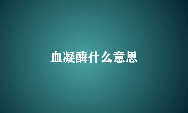 血凝酶什么意思