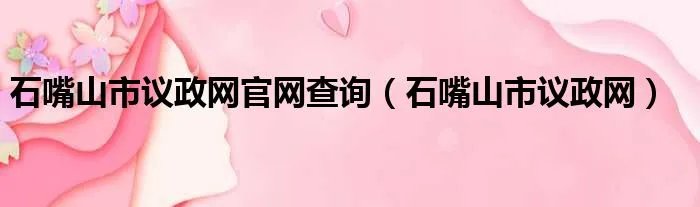 石嘴山市议政网官网查询（石嘴山市议政网）