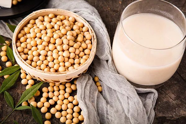 对身体很有益的食物有哪些