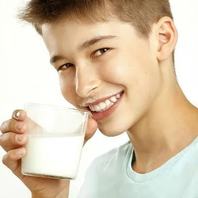 羊奶粉排行榜10强是什么