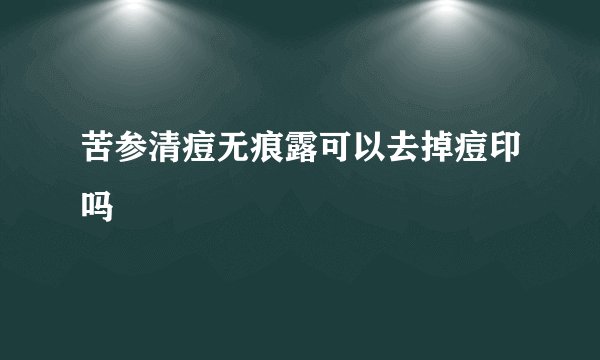 苦参清痘无痕露可以去掉痘印吗