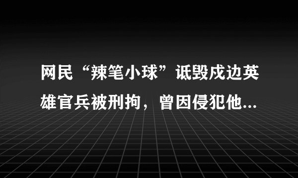 网民“辣笔小球”诋毁戍边英雄官兵被刑拘，曾因侵犯他人名誉权受罚
