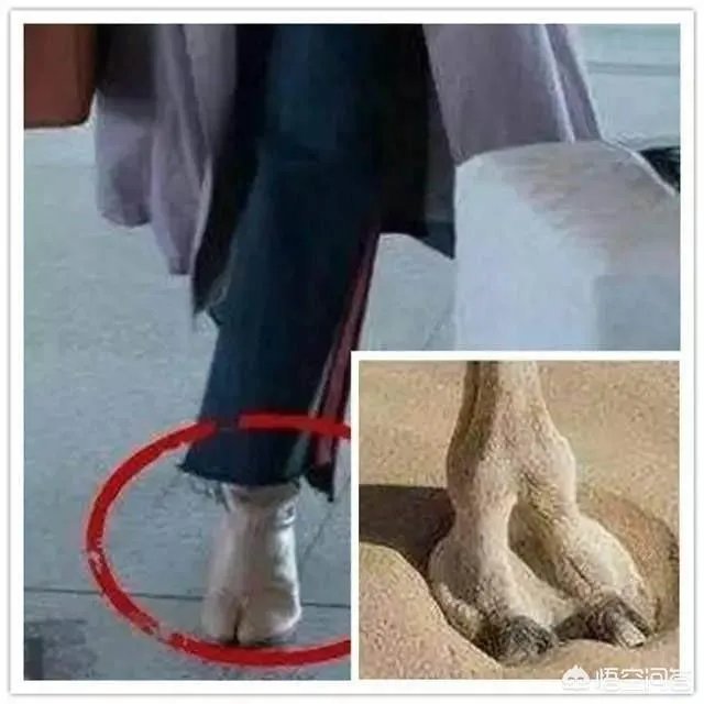 只因为设计理念和款式,你会为一个普通材料制作而成的昂贵首饰买单吗?