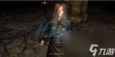 上古卷轴5随从排行-最强随从排名