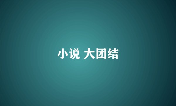 小说 大团结