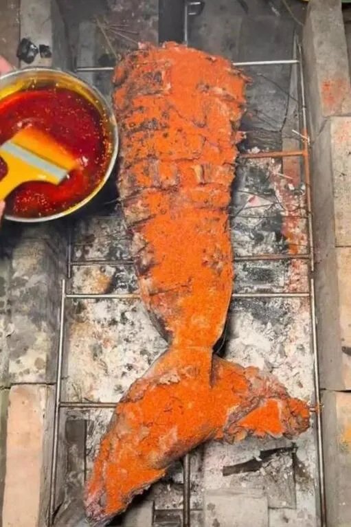 网红提子吃鲨鱼原视频，网红提子的真实身份