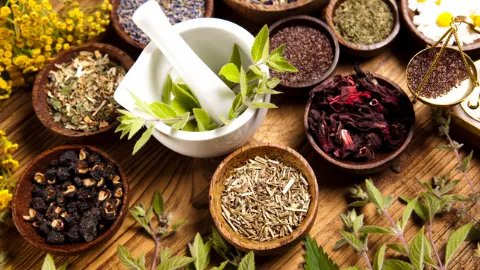 铁皮枫斗的功效与作用