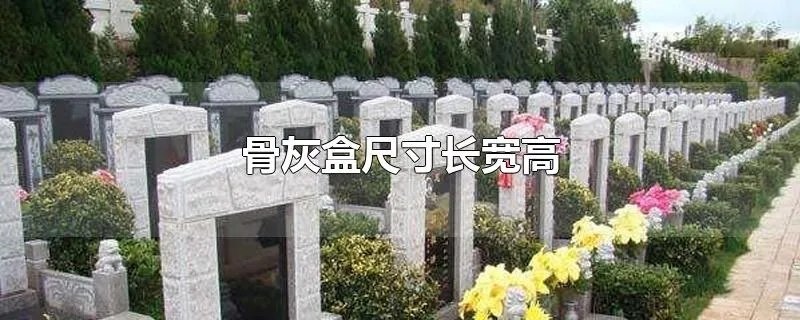 骨灰盒尺寸长宽高