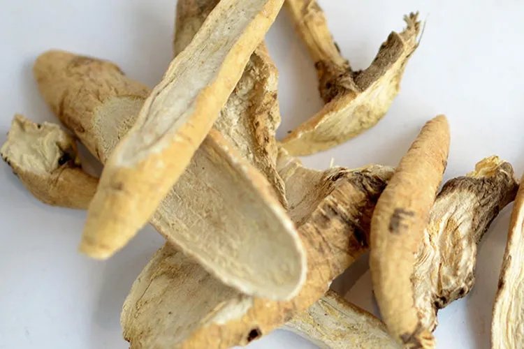 还阳参的功效与作用图片