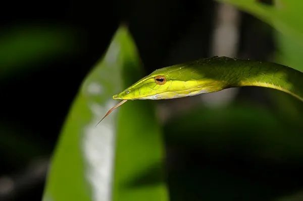 2013年是什么年 2013年是什么命