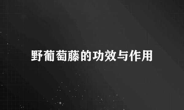 野葡萄藤的功效与作用