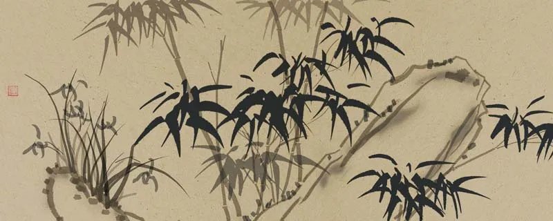 竹子的用途 竹子有哪些用途