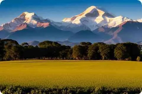 本兮小三你好贱的歌词