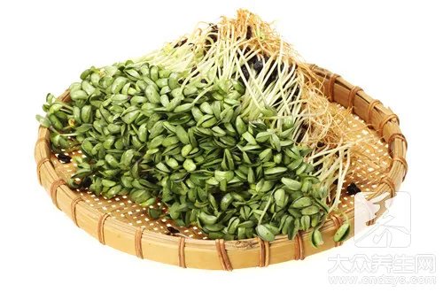 绿豆芽有什么营养价值