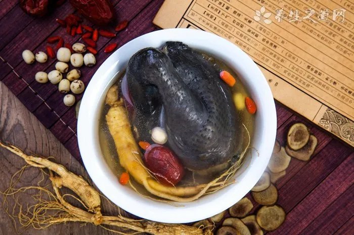 英短蓝猫丁香色值钱么