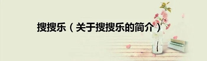 搜搜乐（关于搜搜乐的简介）