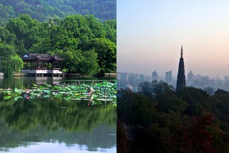 乌镇到杭州怎么走