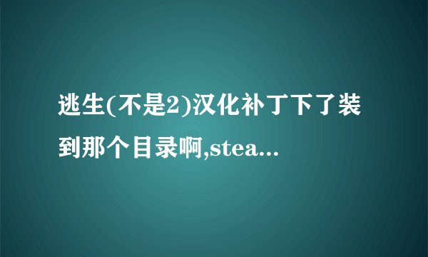 逃生(不是2)汉化补丁下了装到那个目录啊,steam正版的