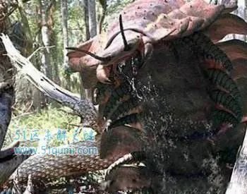 远古蜈蚣虫图片长什么样子 世界上最大的远古蜈蚣虫有多大